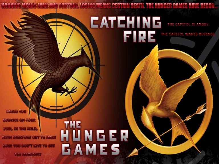 Catch A Fire Book